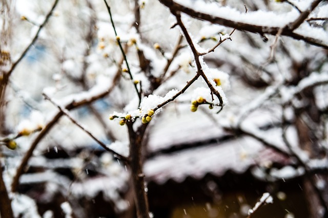 山与横滨水